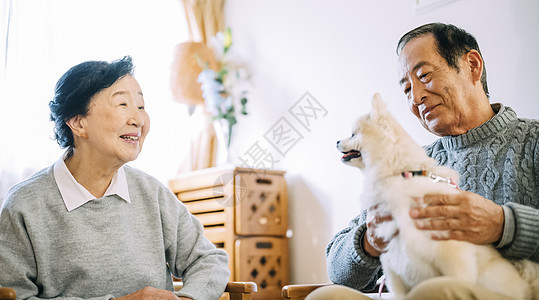 沙发上抱着博美犬的老年夫妇图片