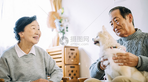 沙发上抱着博美犬的老年夫妇图片