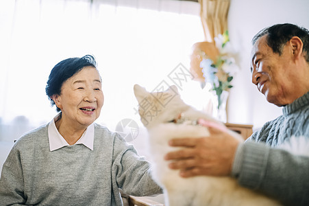 抱着博美犬的老年夫妇图片