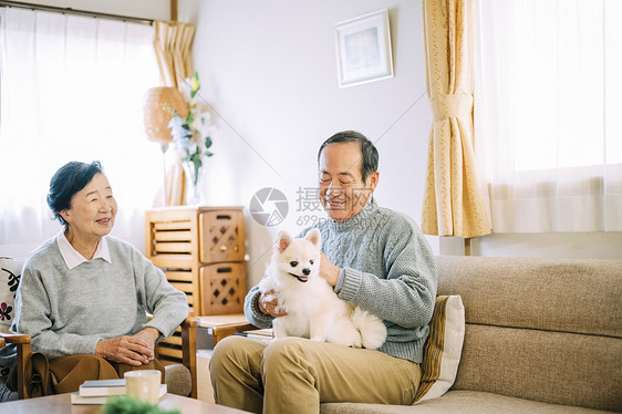 沙发上坐着的老人和狗图片