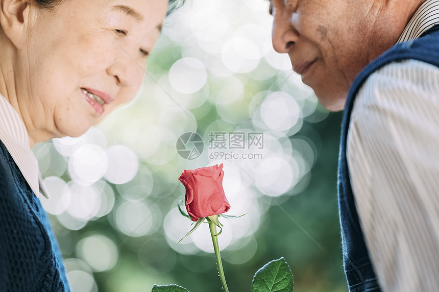 老年夫妇拿着玫瑰花图片