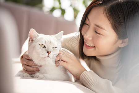 女人毛衣生机勃勃和猫一起生活的年轻女子图片