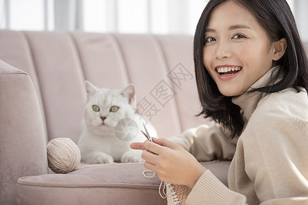 宠物猫咪陪着主人织毛线图片