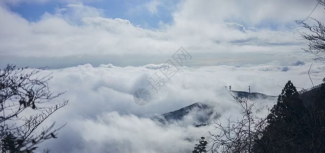 树林驯养家庭从山上看到的云海图片