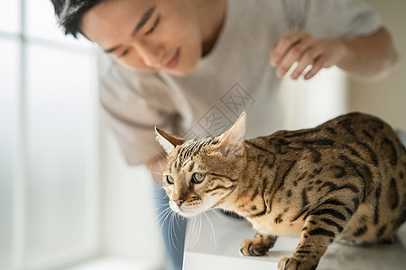 年轻男性喂养宠物猫图片