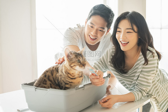 温暖的迷笛猫夫妻宠物生活方式图片