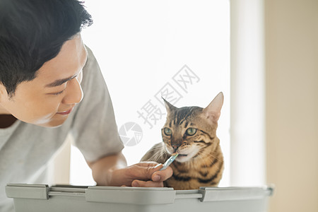 年轻男性喂养宠物猫图片