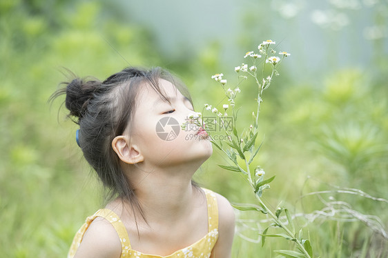 闻花香的小女孩图片