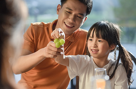 女孩吃葡萄一家人其乐融融的在餐桌上吃饭背景