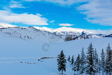 新疆喀纳斯冬日雪景风光图片