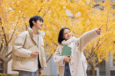 银杏树下的青年学生图片