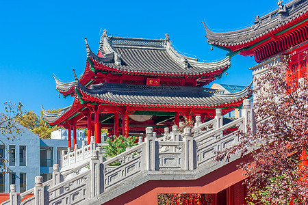 江南南京毗卢寺建筑图片