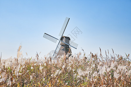 宁波4A景区杭州湾国家湿地公园风车芦苇图片