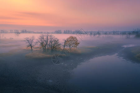 被晨雾覆盖的湿地图片