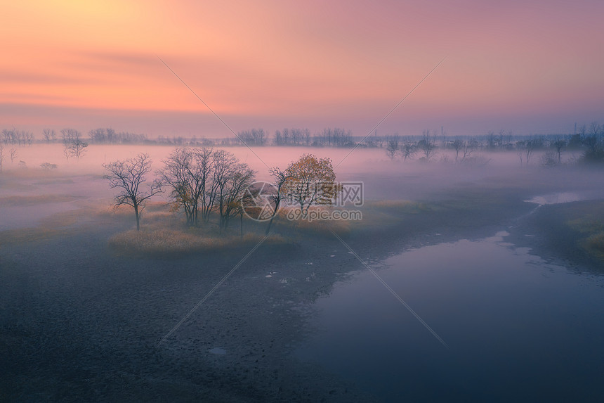 被晨雾覆盖的湿地图片