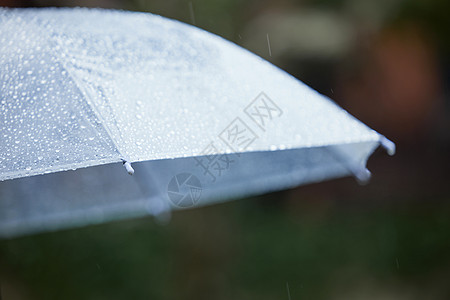 挂着雨水的雨伞特写背景