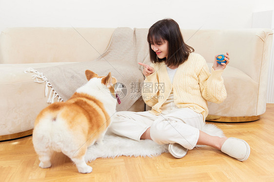 在家陪宠物狗的女主人图片