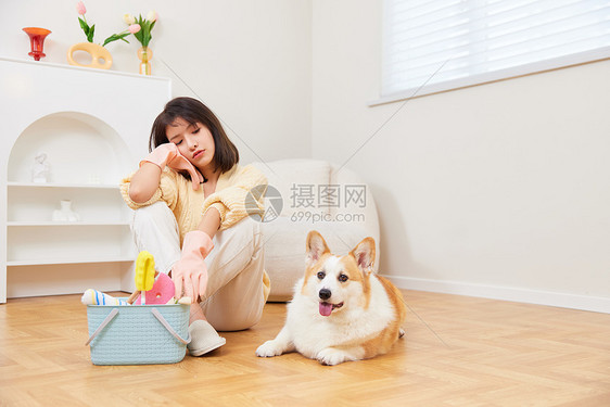 妨碍大扫除的宠物犬图片