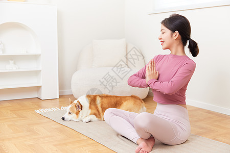 陪伴主人瑜伽锻炼的宠物狗图片