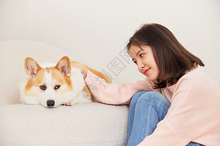 陪伴在主人身边的柯基犬背景图片