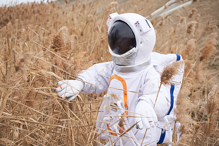 芦苇草中身穿太空服的人图片
