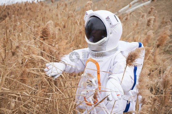 芦苇草中身穿太空服的人图片