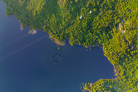 深圳梅林水库风景图片