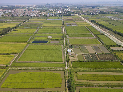 春耕农业农田种植基地航拍图片