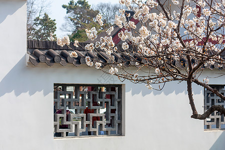 南京玄武湖樱桃园春天樱花与古建筑旅游高清图片素材