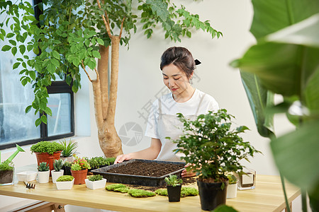 适用育苗盆培育植物的女性背景图片