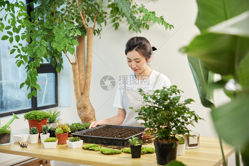 适用育苗盆培育植物的女性图片
