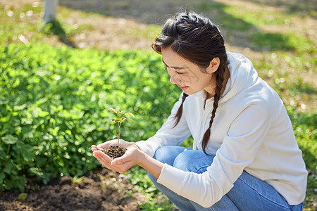 户外双手捧着小树苗的女性形象图片