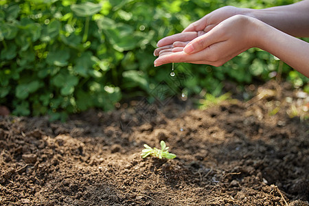 世界地球日用手给小树苗浇水特写背景