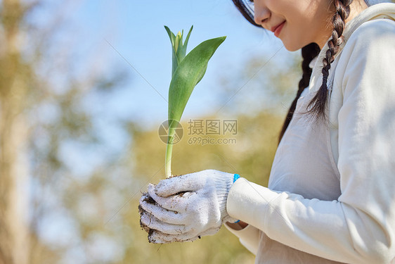 双手捧着花苗的女性图片