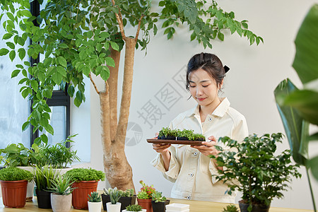 女性居家种植植物形象图片