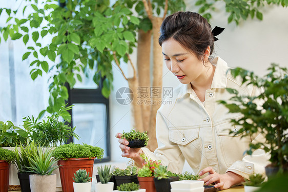 手拿盆栽植物的女性图片