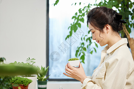 观察手中盆栽植物的女性图片