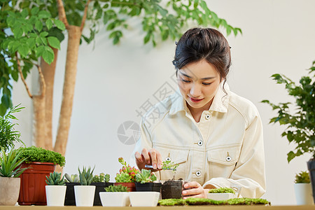 使用镊子制作盆栽的青年女性图片