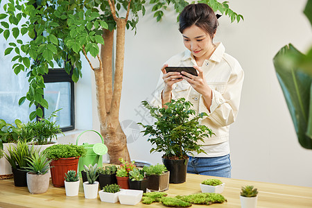 植树节手机女性给植物拍照背景