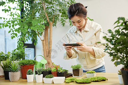 植树节手机女性使用手机给植物拍照背景