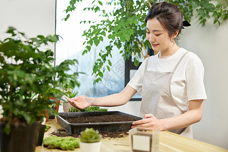 清新园艺师种植盆栽形象图片