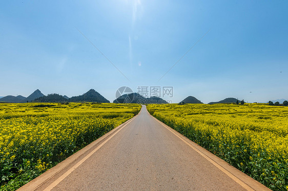 云南罗平金鸡峰油菜花海景区图片