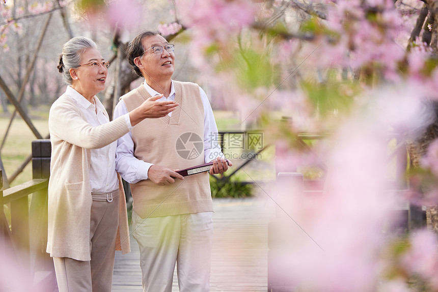 老年夫妻一起在公园赏樱花图片