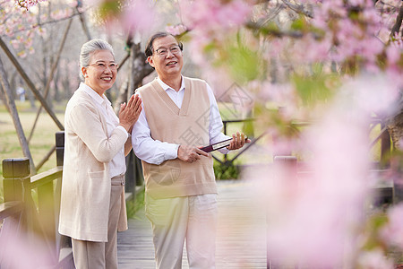 幸福老年夫妻一起在公园赏花背景图片