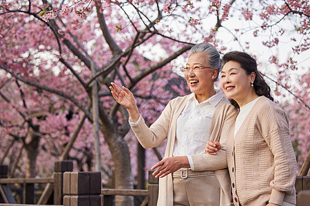 老年姐妹花表情包图片