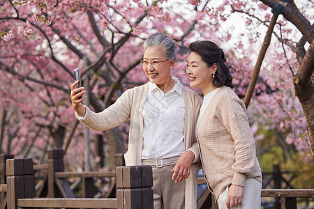 老年闺蜜一起在公园看樱花自拍图片