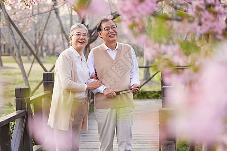 老年夫妻在指责恩爱的老年夫妻一起在公园赏花背景