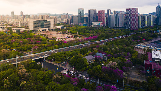 春天的城市背景图片