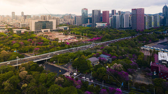 春天的城市图片