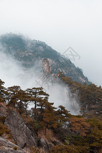 黄山飞来石云海图片